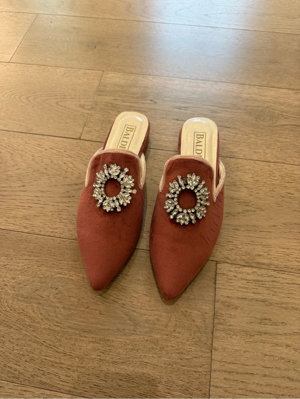 Rust Crystal-Embellished Pointed Mule